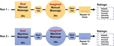 The Effects of Intranasal Oxytocin on Neural and Behavioral Responses to Social Touch in the Form of Massage